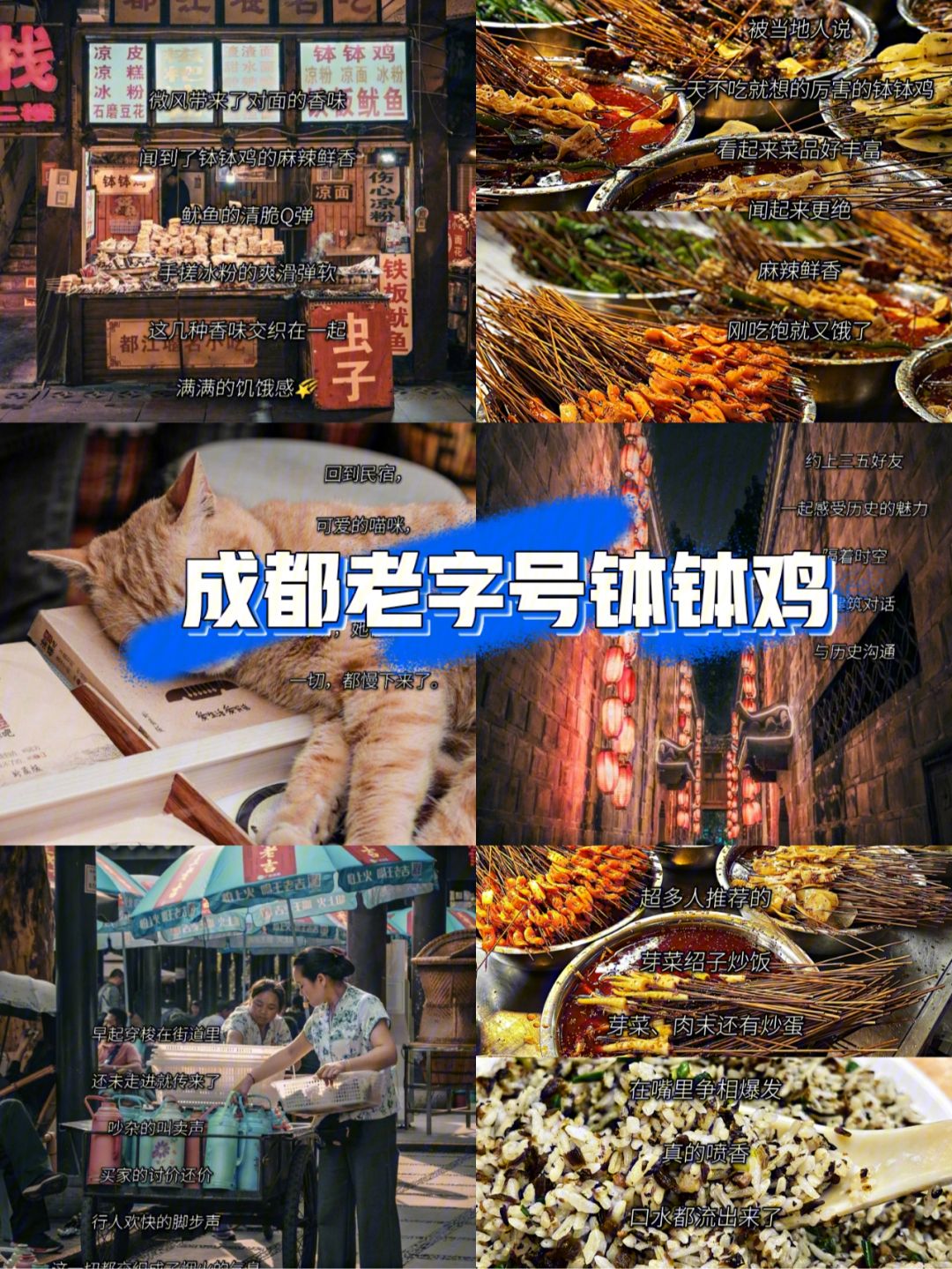 成都名小吃老字号(成都名小吃老字号有哪些)