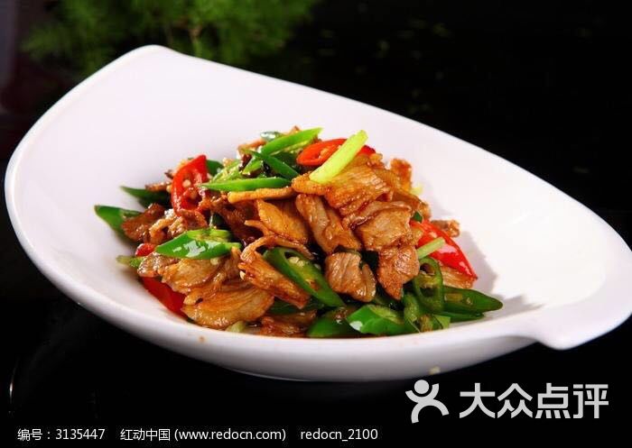 川菜肉片(川菜肉片做法大全家常)