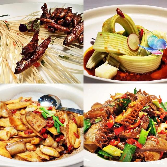 湘菜美食节目(湖南播放的湘菜节目)
