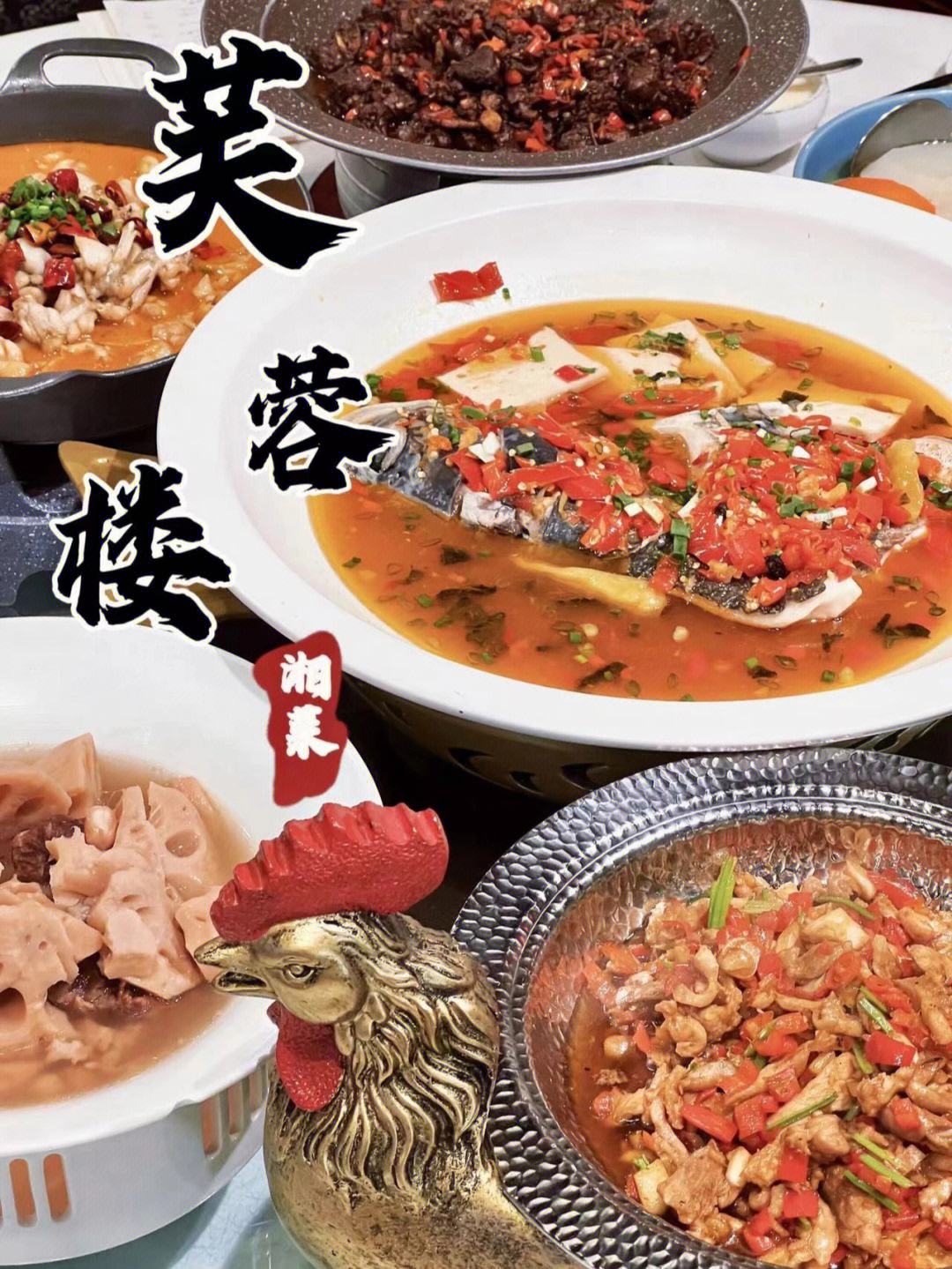 湘菜美食节目(湖南播放的湘菜节目)